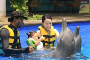 Experience the Magic of Swimming with Dolphins in Bali